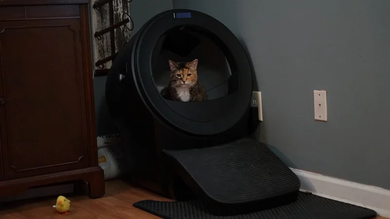 Calico cat sitting inside a large black automatic litter box with ramp in a corner of a room, wooden cabinet on the left and small yellow chick toy on the floor
