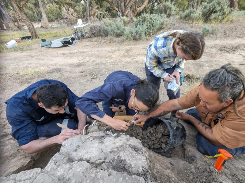 photo of four people carefully excavating a mound of dirt, with a line of brush and trees in the background