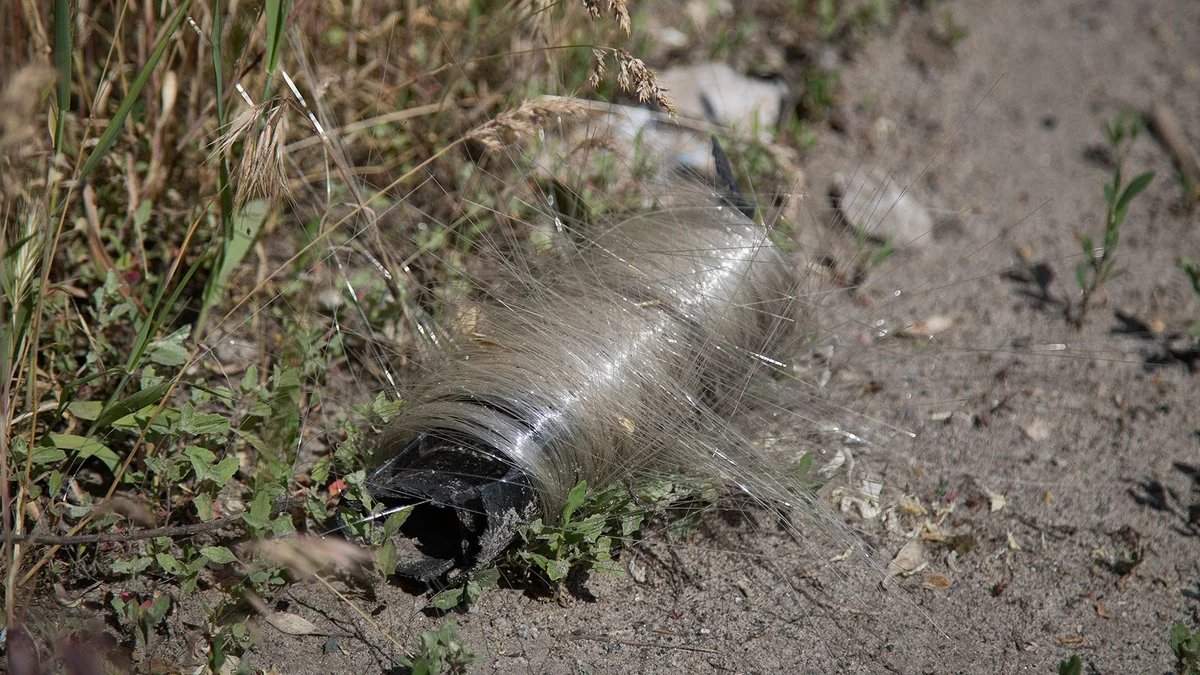Donbas'ta kuş yuvalarında drone fiber-optik kabloları görüldü