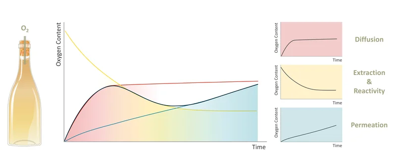 Image of a complex graph where total levels of oxygen are influenced by three separate trends.