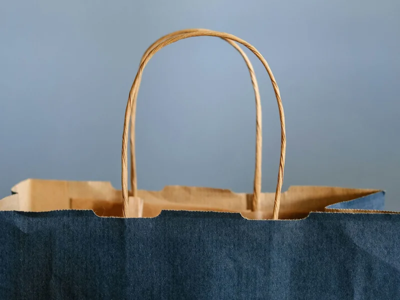 Shopping bag as SAP aligns fragmented commerce data structures to enable operational AI personalisation at the execution layer.