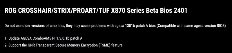 Text displaying 'ROG CROSSHAIR/STRIX/PROART/TUF X870 Series Beta Bios 2401' with instructions on updating AGESA ComboAM5 PI 1.3.0.1b patch A and supporting the GNR Transparent Secure Memory Encryption (TSME) feature.
