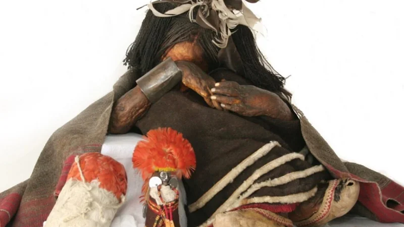 The Boy of Cerro El Plomo and his funerary assemblage