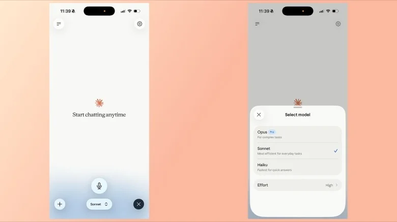 Voice model currently supports Anthropic's Haiku