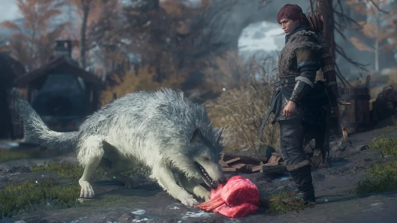 A character in the video game Crimson Desert stands beside a large white wolf eating a piece of meat in a rugged, forested environment.