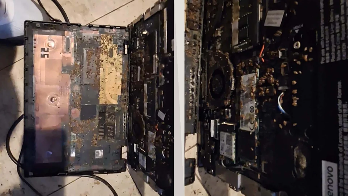 Refurbished Lenovo laptop arızalanınca içinden böcek çıktı